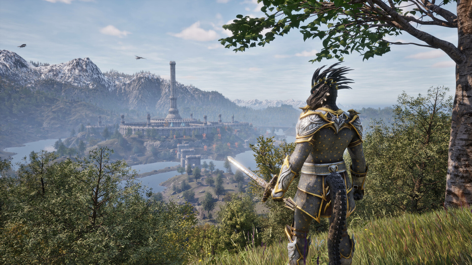 The Elder Scrolls IV: Oblivion Remastered screenshot showing lizard-like Argonian character overlooking valley and distant city