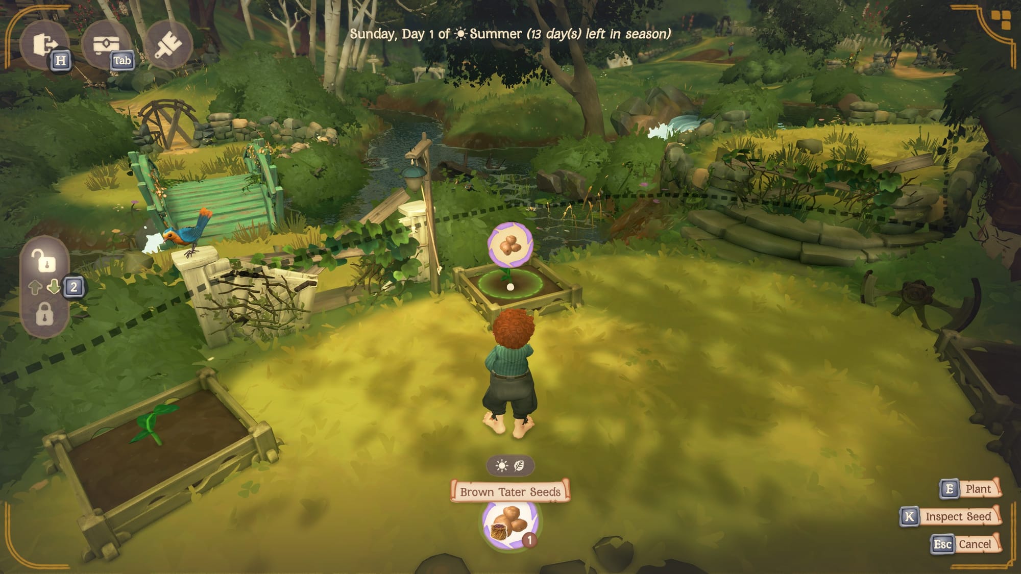 Tales of the Shire gameplay showing a hobbit character in a garden area on Sunday, Day 1 of Summer, with Brown Tater Seeds selected and options to Plant, Inspect Seed, or Cancel displayed in the UI.